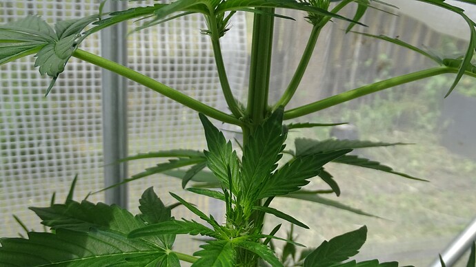 Growreport Bild 10