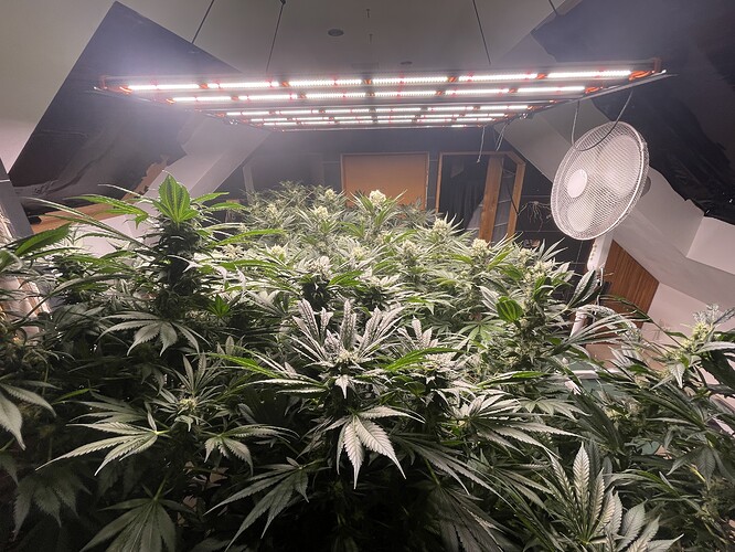 Growreport Bild 9