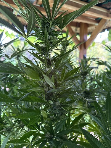 Growreport Bild 24