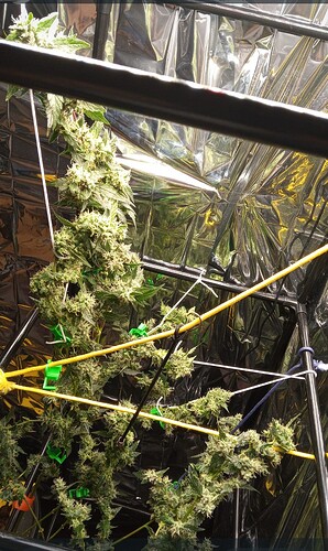 Growreport Bild 4