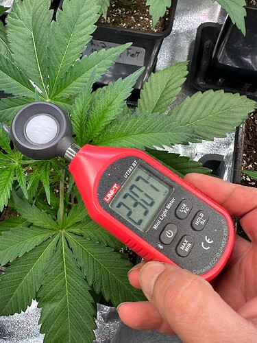 Growreport Bild 57