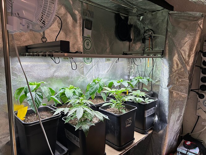 Growreport Bild 14