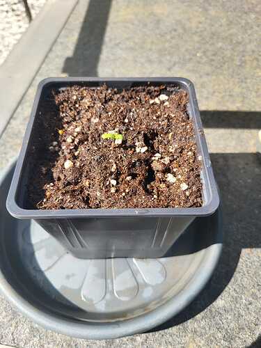 WhatsApp Image 2024-07-24 at 17.04.33