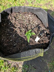 PXL_20250425_151148327