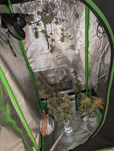 Growreport Bild 4