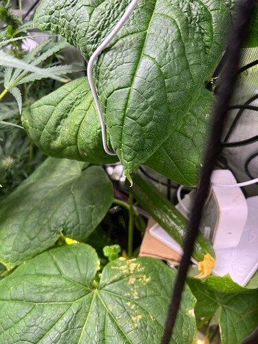 Growreport Bild 16