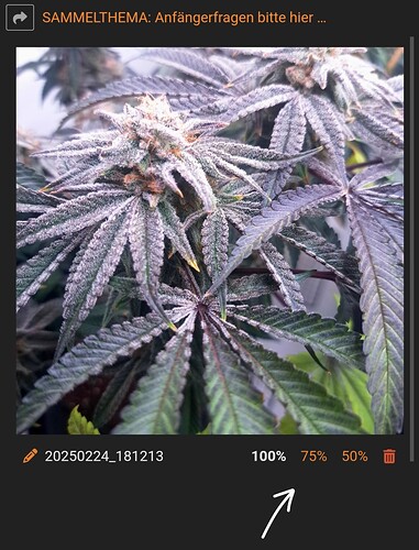Screenshot_20250430_174742_Chrome