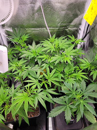 Growreport Bild 10