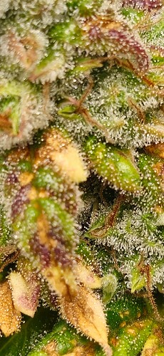 Growreport Bild 11