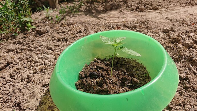 Growreport Bild 32