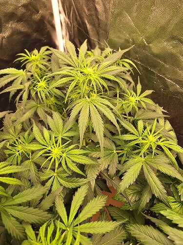 Growreport Bild 2