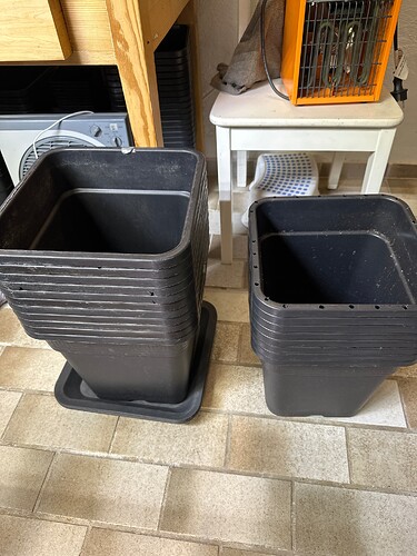 Growreport Bild 41