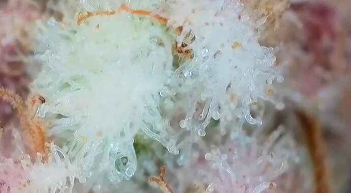 Growreport Bild 19