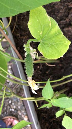 Growreport Bild 56