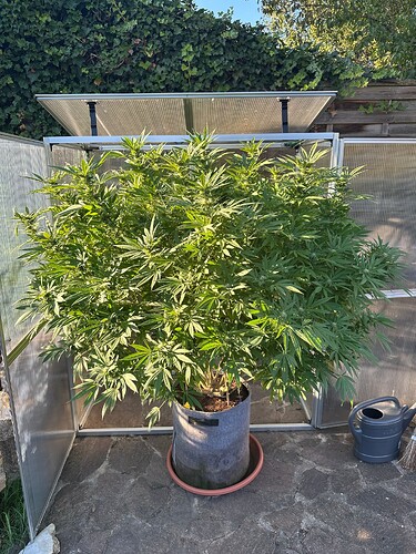 Growreport Bild 59
