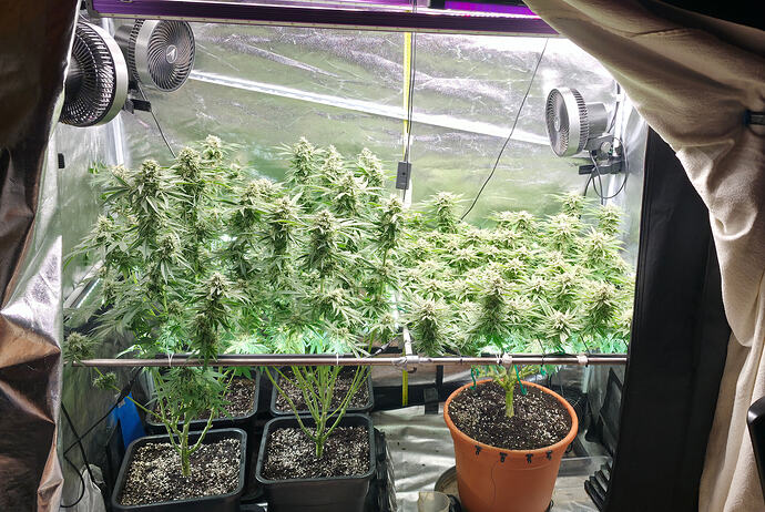 Growreport Bild 19