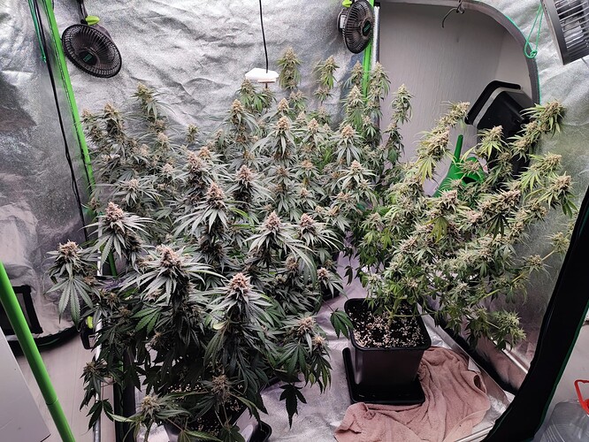 Growreport Bild 23