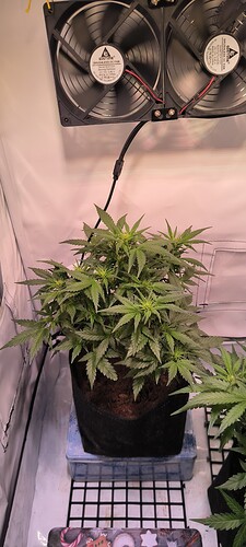 Growreport Bild 18