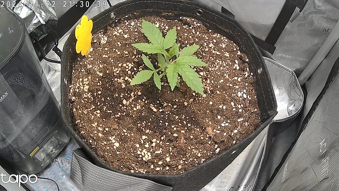 Growreport Bild 2