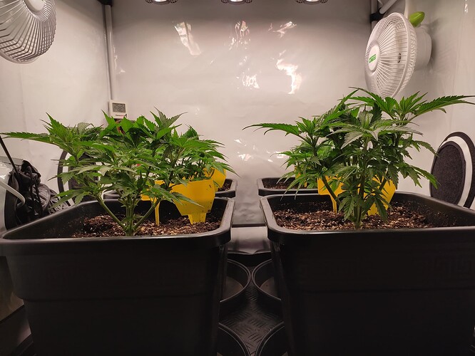 Growreport Bild 23