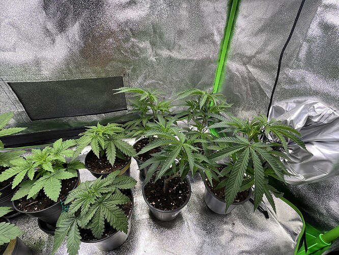 Growreport Bild 8
