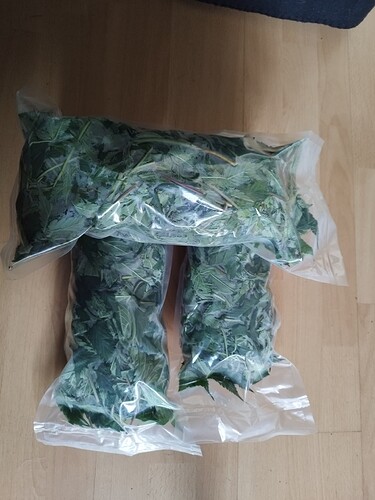 Drei Vakuumbeutel gefüllt mit Cannabis-Blättern und Stielen, die auf einem Holzboden liegen.