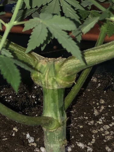 Growreport Bild 11