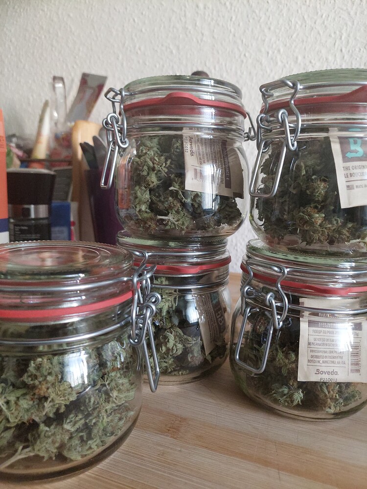 Mystery Grow 1.0 - BEENDET