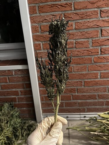 photo_2024-11-04_23-25-31