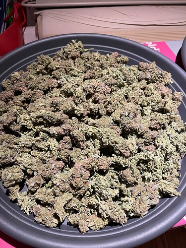Growreport Bild 6
