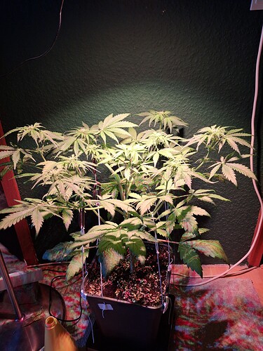 Growreport Bild 8