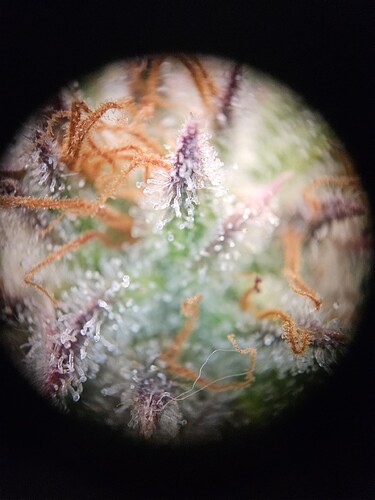 Growreport Bild 11