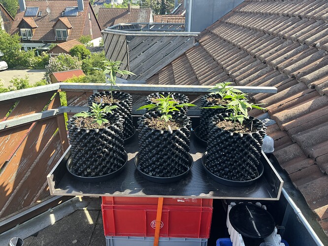 Growreport Bild 14