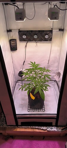 Growreport Bild 2