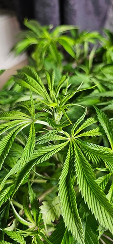 Growreport Bild 30