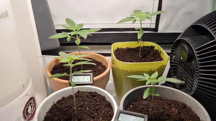 WhatsApp Image 2024-04-23 at 19.14.37