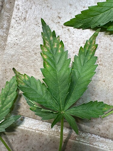 Growreport Bild 18