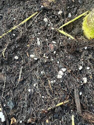 Growreport Bild 10