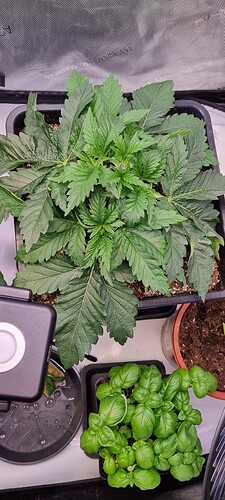 Growreport Bild 23