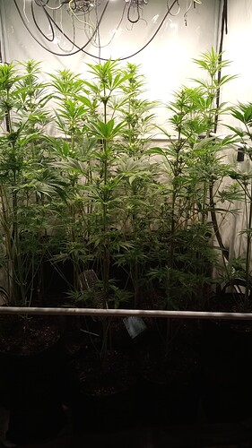 Growreport Bild 16