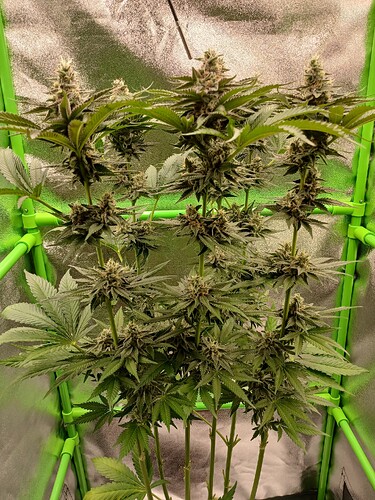Growreport Bild 12