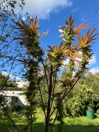 Growreport Bild 21