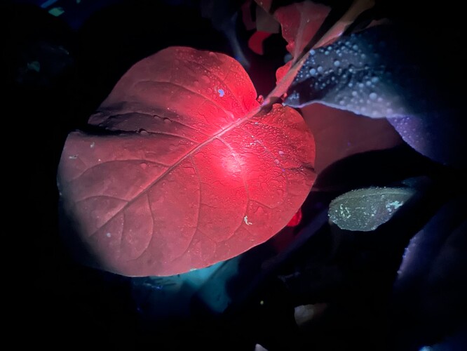 Growreport Bild 5