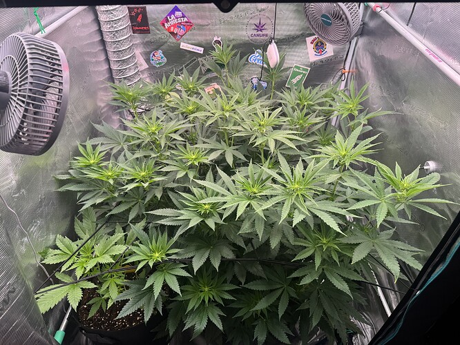 Growreport Bild 3