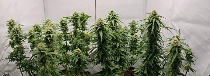 PANO_20240602_184755