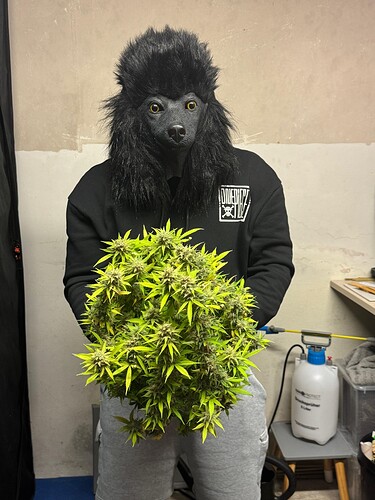 Growreport Bild 46