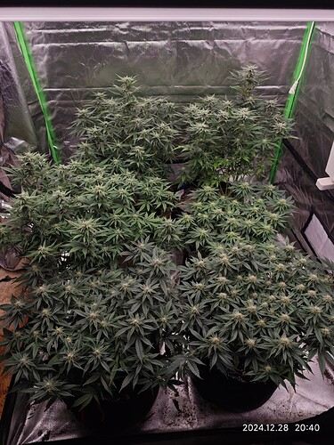 Growreport Bild 12