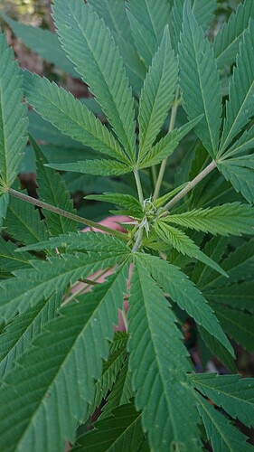 Growreport Bild 11