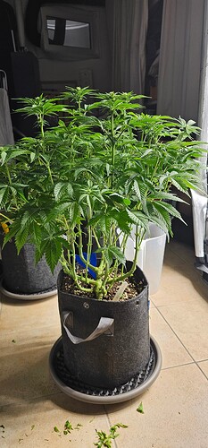 Growreport Bild 24