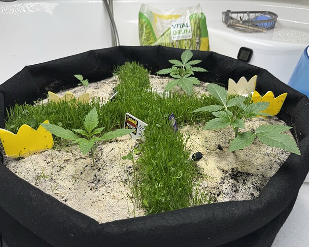 Growreport Bild 14